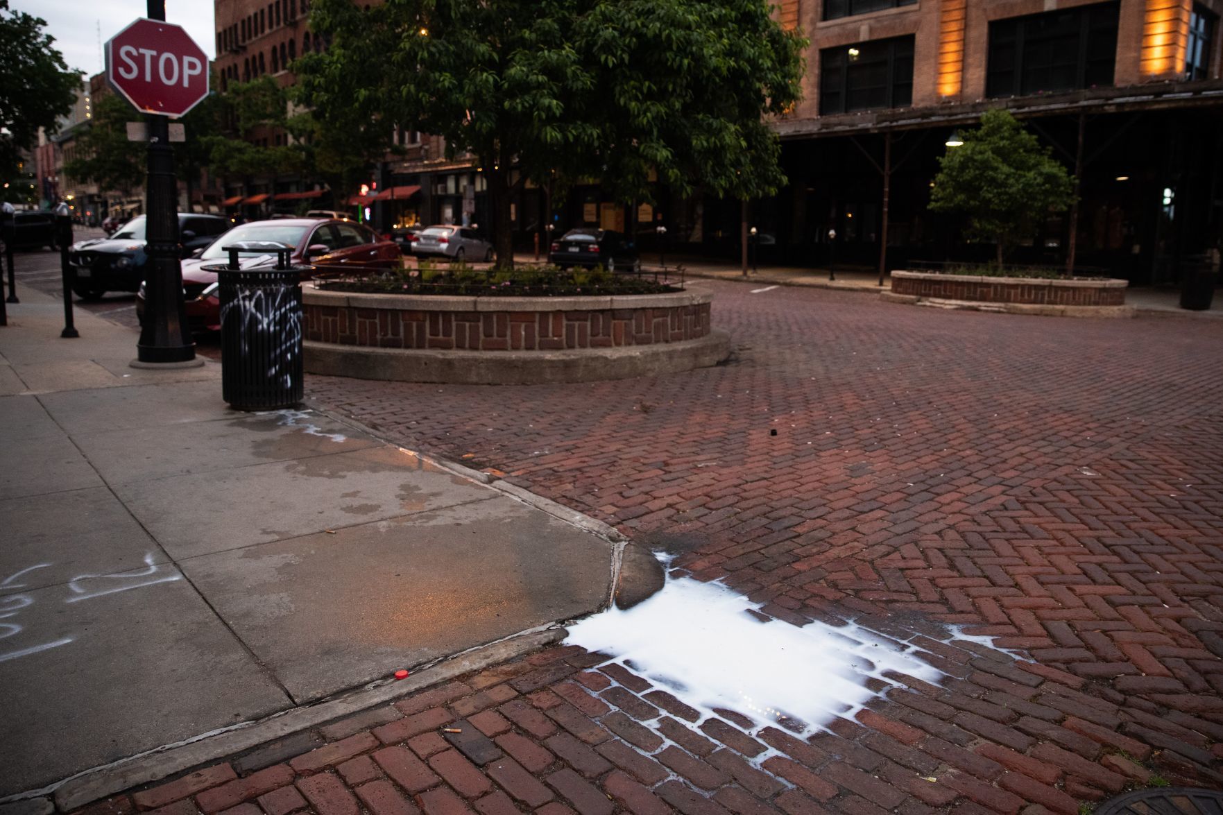 Protest Damage